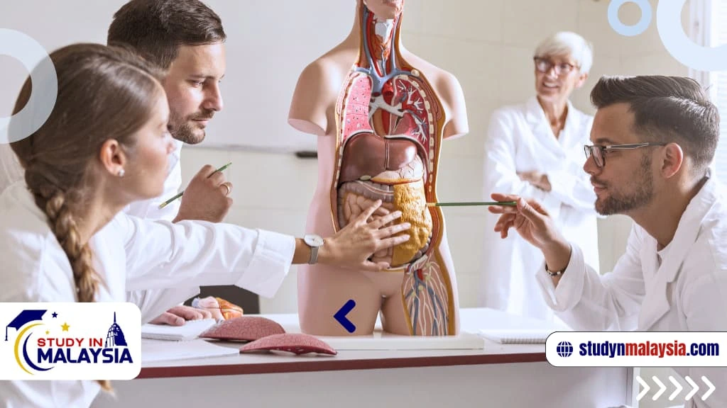 أفضل الجامعات في ماليزيا لدراسة الطب البشري