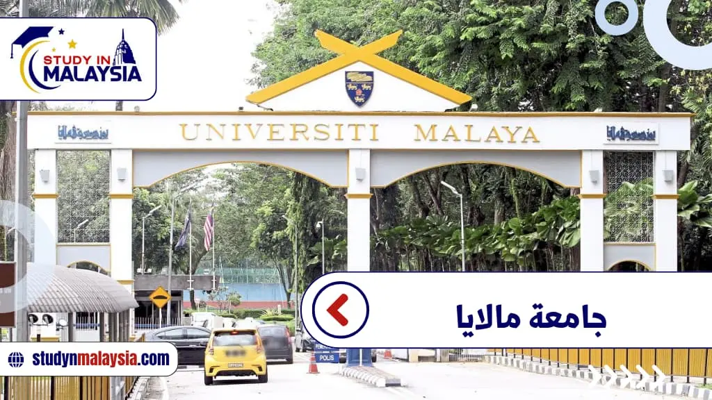 الدراسة في جامعة مالايا ماليزيا دليل شامل