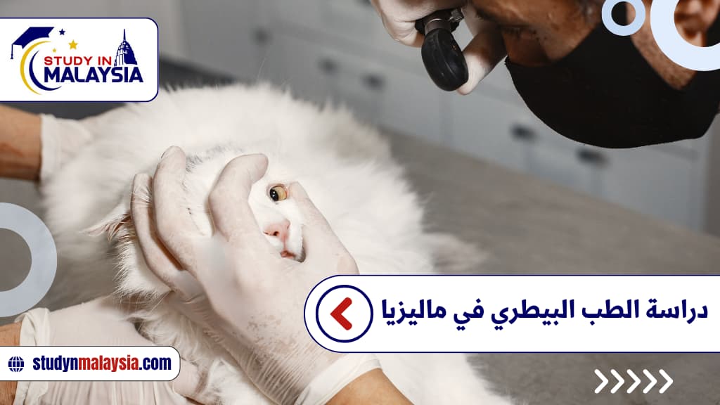 دراسة الطب البيطري في ماليزيا